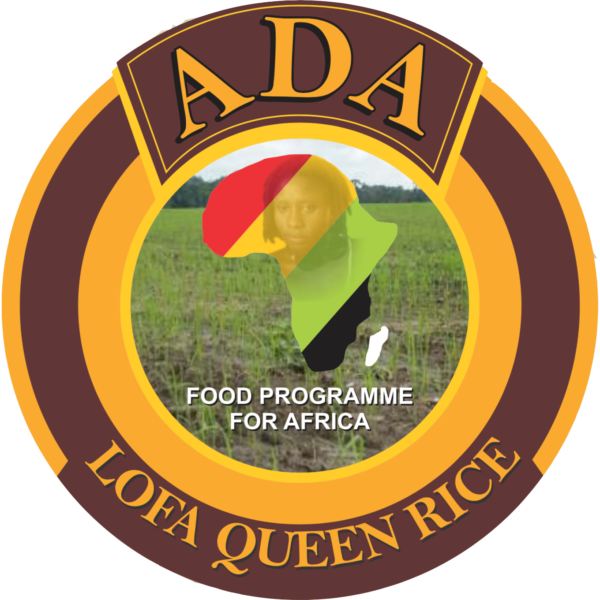 Lofa Queen Rice
